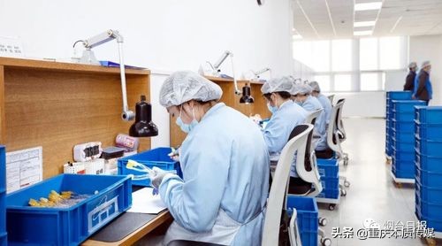 艾多美得皓齿项目建设施工步入“快车道”