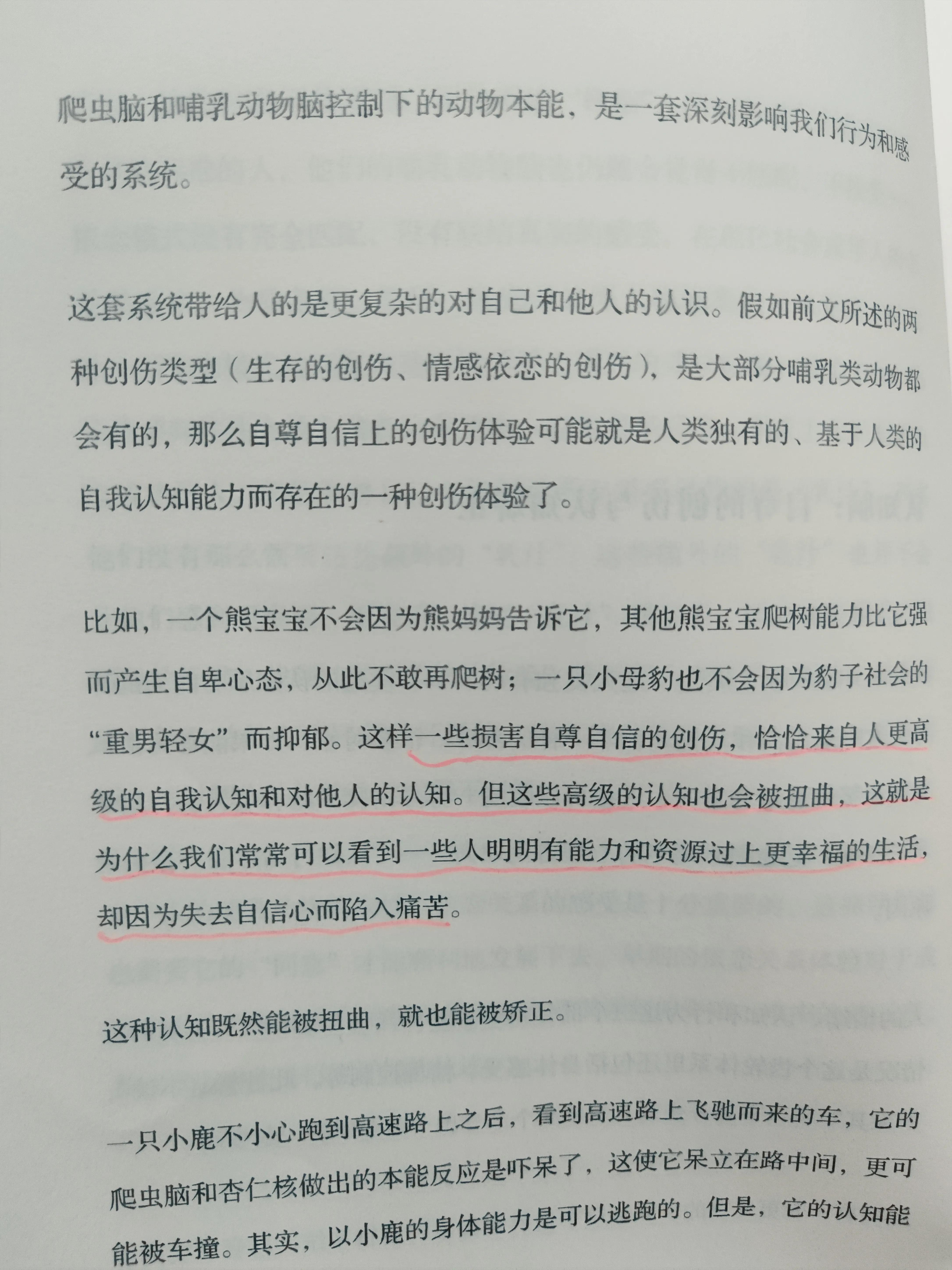 失去重要他人，如何疗愈伤痛