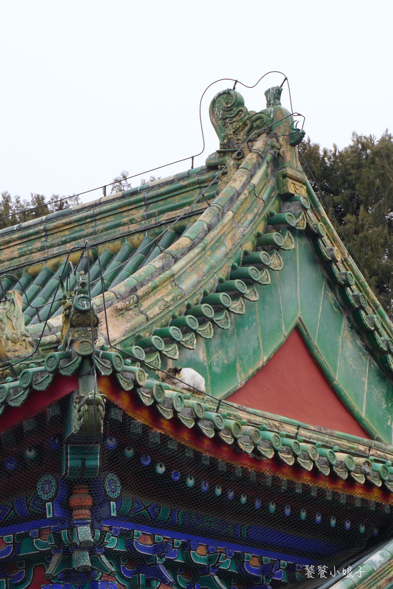 天坛介绍是什么（天坛的介绍资料和传说）-第50张图片-大连信息网