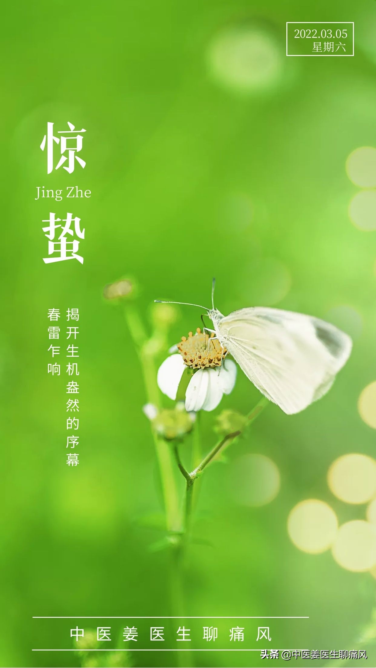 痛风患者尿酸625三天未排便怎么办