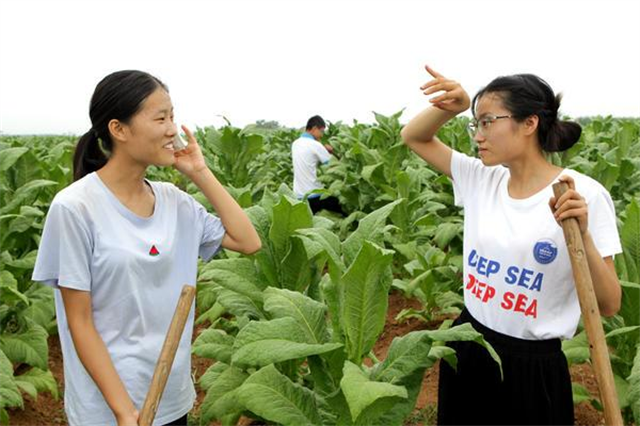 17岁农村女孩考上中山大学，为攒学费每天下地干活