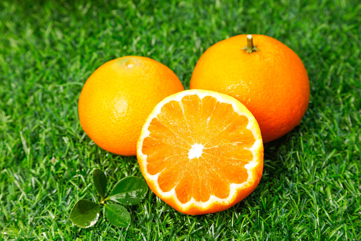 汁多皮薄的果冻橙，16年成网红，5年过去了，价格亲民境遇如何？