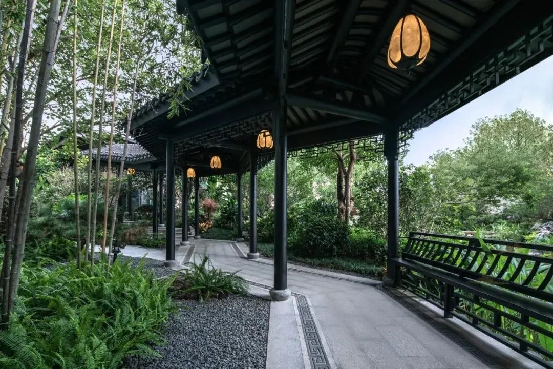 景观设计，“曲线”之美