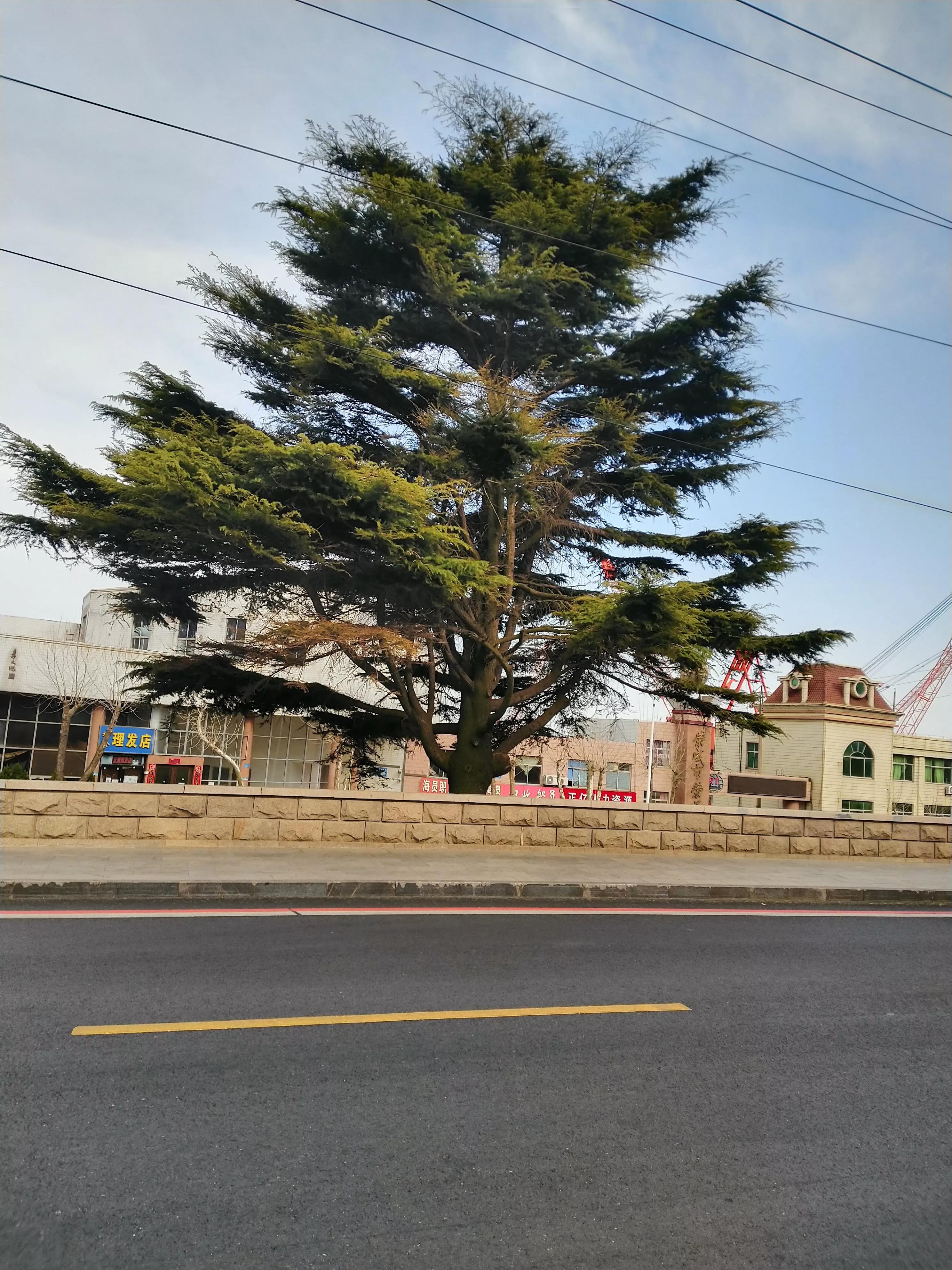 建议提高法律职业资格通过率与废除律师实习的规定