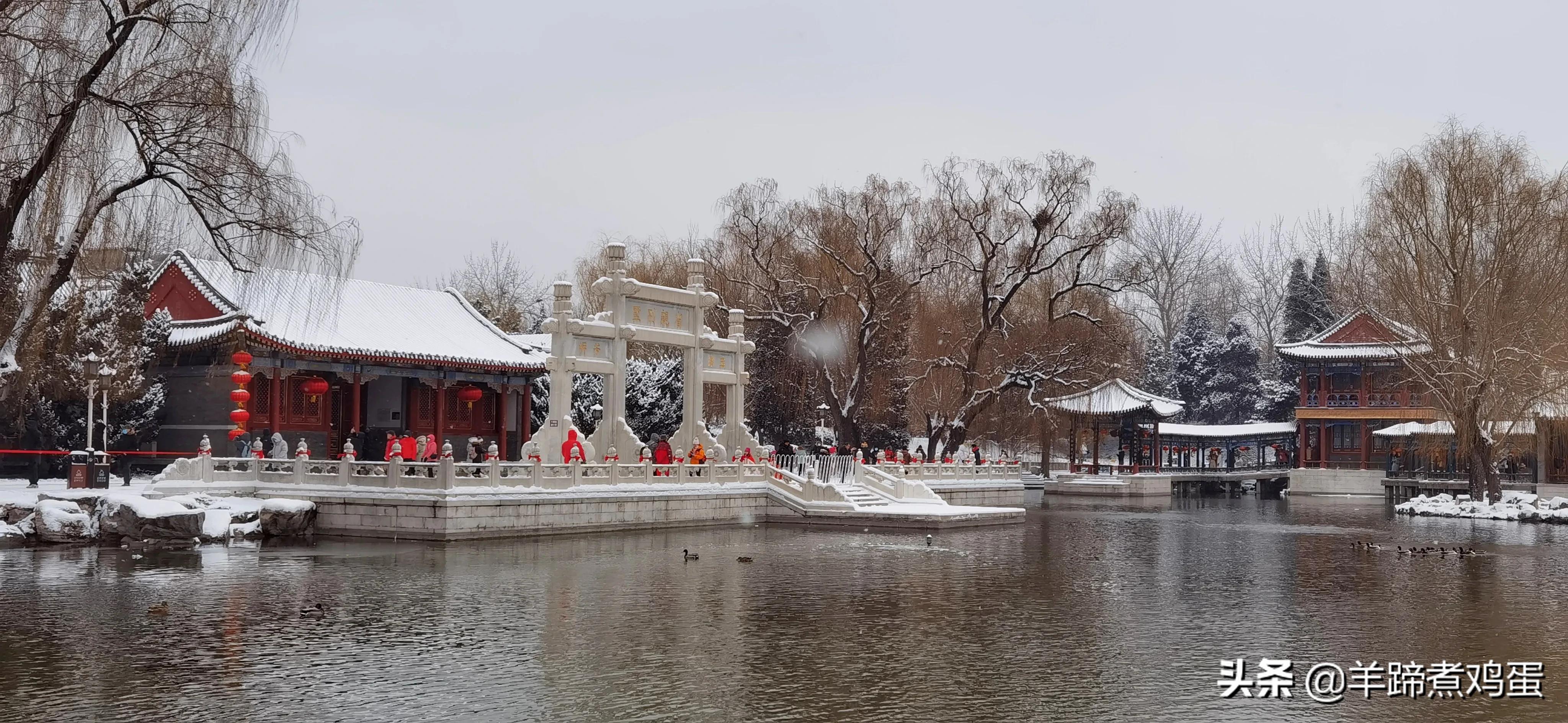 难览观园全画景雪覆腊梅一隅香——踏雪寻游北京大观园