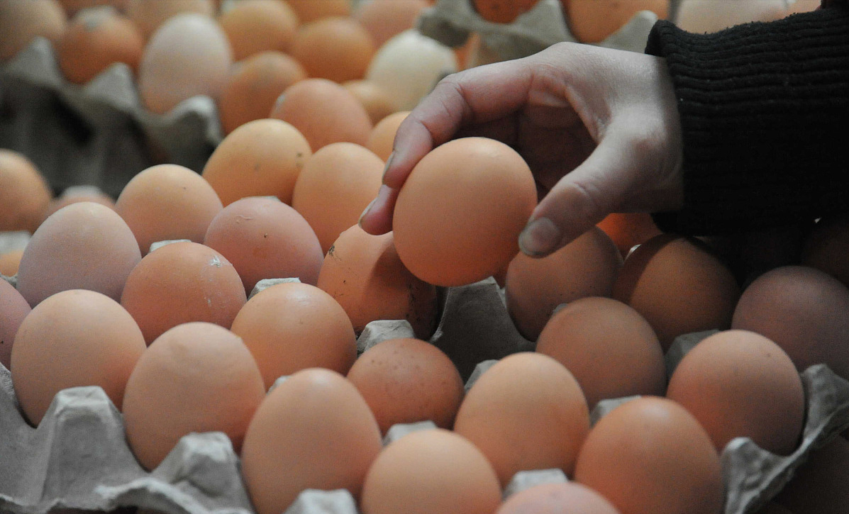 全国今日鸡蛋最新价格（今日最新鸡蛋价格网）