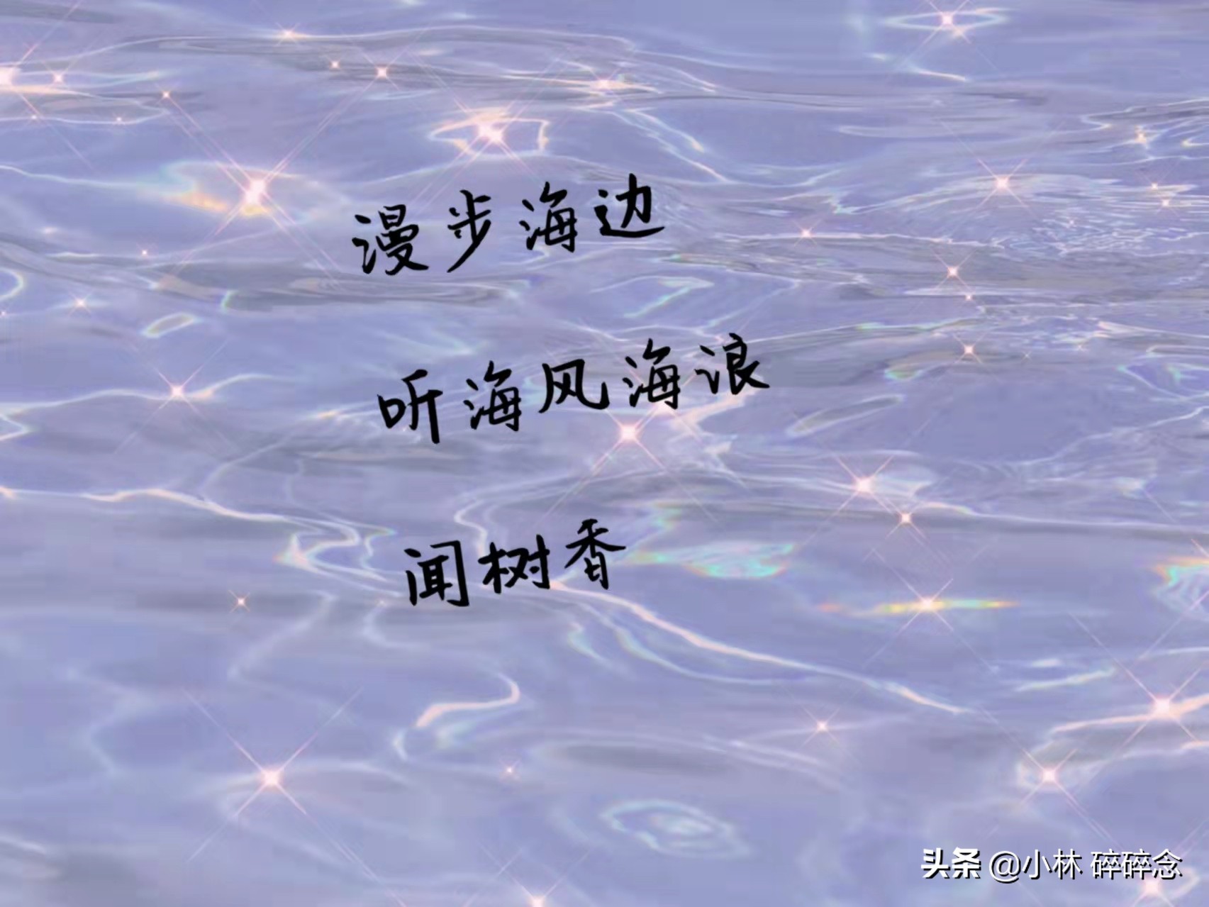 关于大海的优美句子点题_晶羽文学网