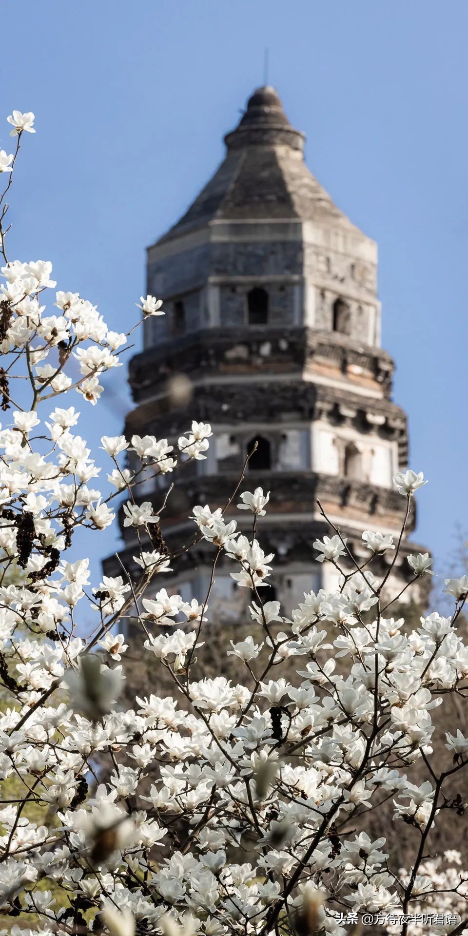 中国的斜塔,苏州虎丘塔