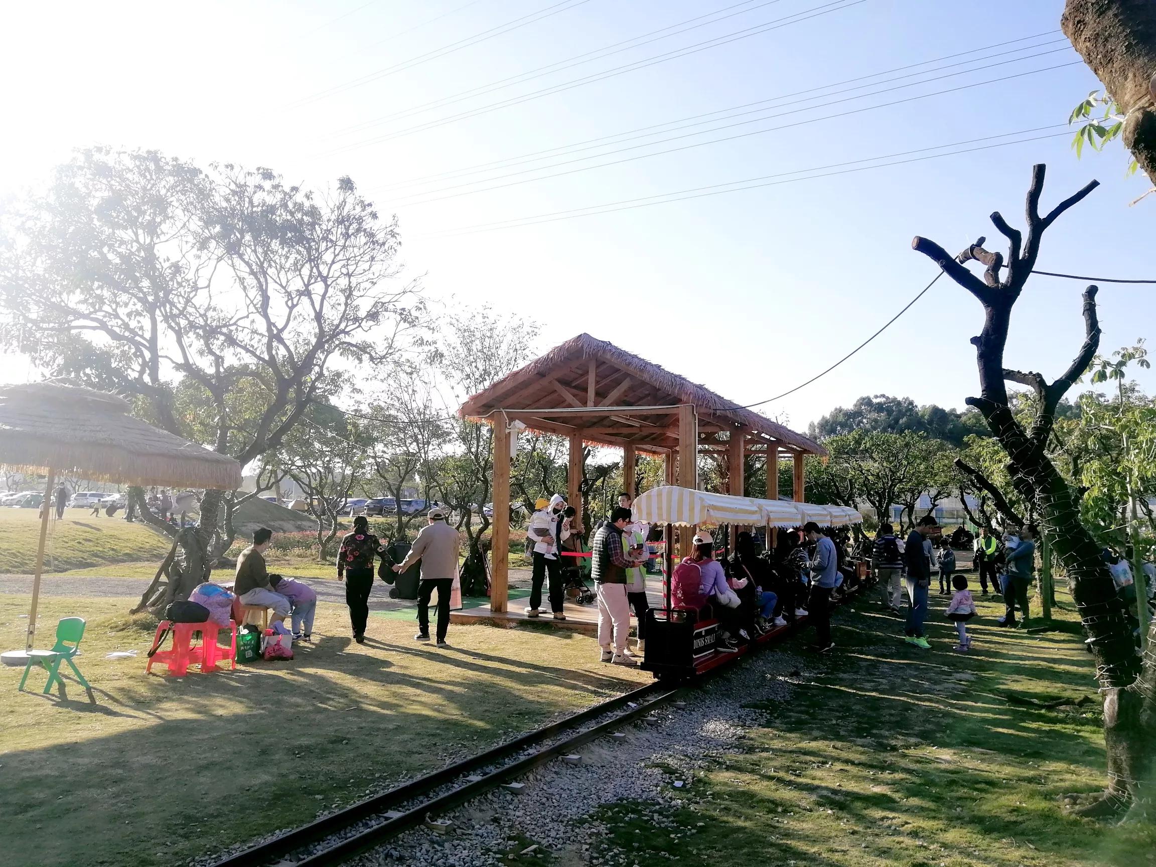 地铁4号线大学城周边游玩攻略，领悟独一无二的长洲岛景象（D篇）