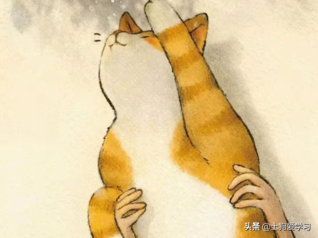 冲刺2022研究生！2017年考研 英语二 Text 3(3)，长难句解析