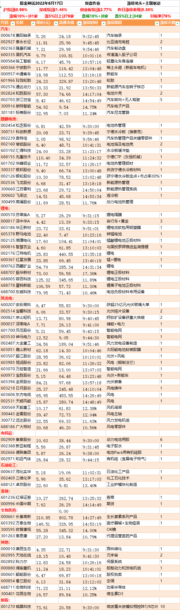 以新能源为矛（6.17）