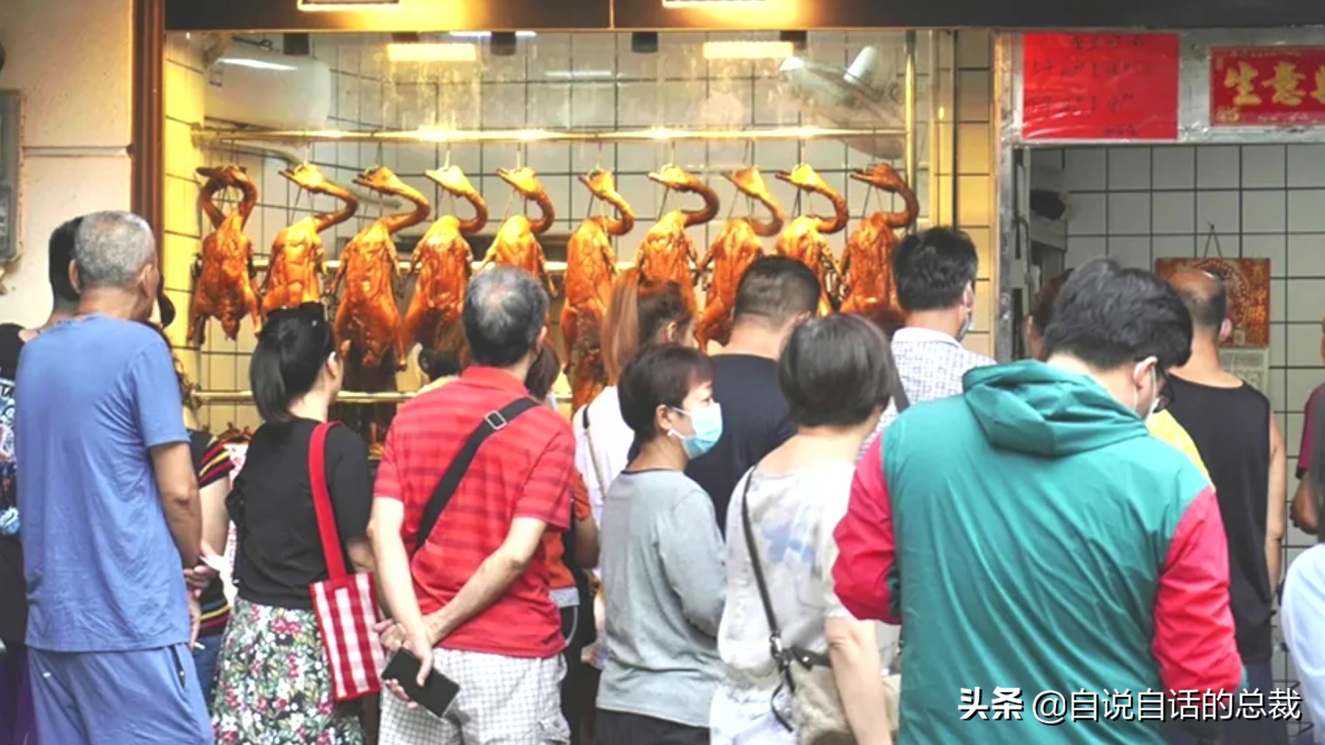 为什么动物都怕鹅？有鹅的地方没有蛇？大鹅的真实面貌超出你想象