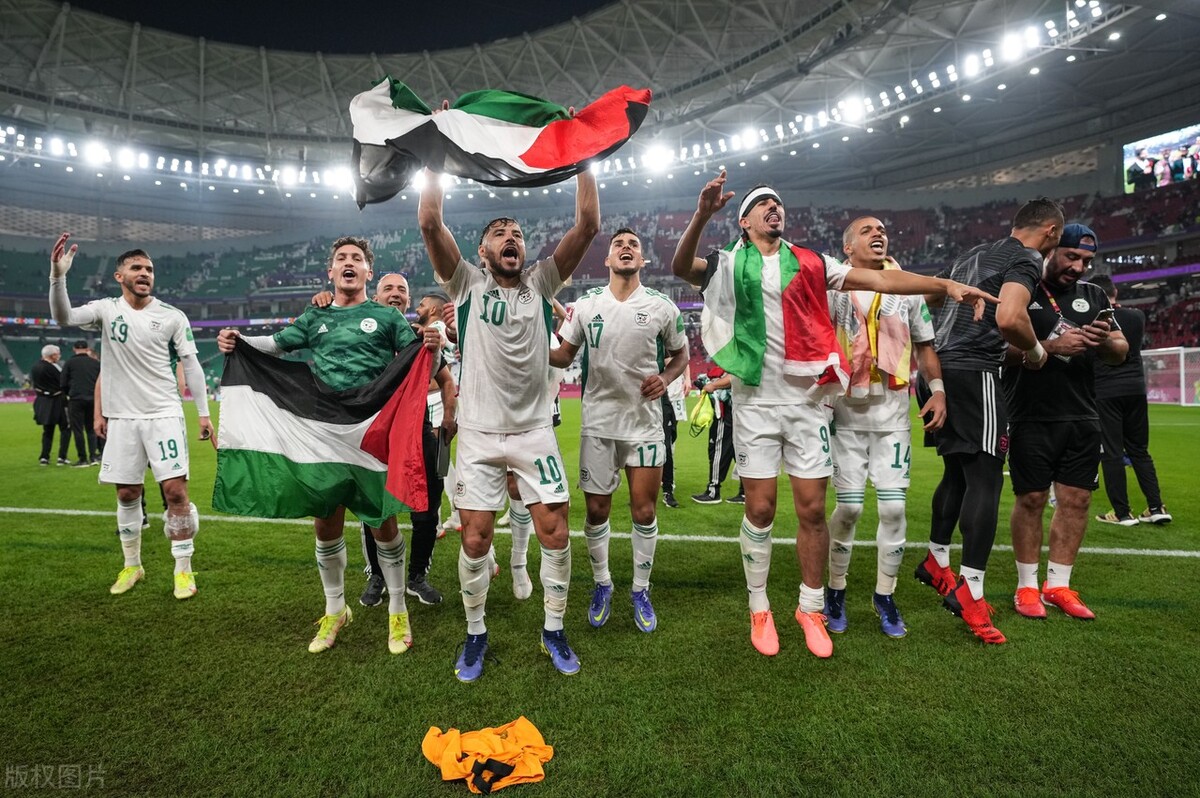 介绍一下阿尔及利亚足球队厉害(2022非洲杯球队实力概览：齐达内 本泽马的祖国阿尔及利亚)