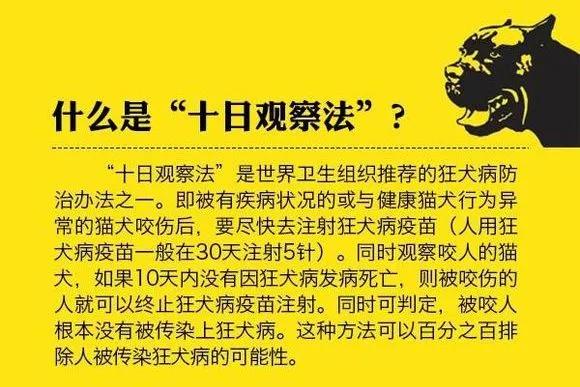 诡异丧尸病毒（诡异丧尸病毒小说）-第3张图片-易算准