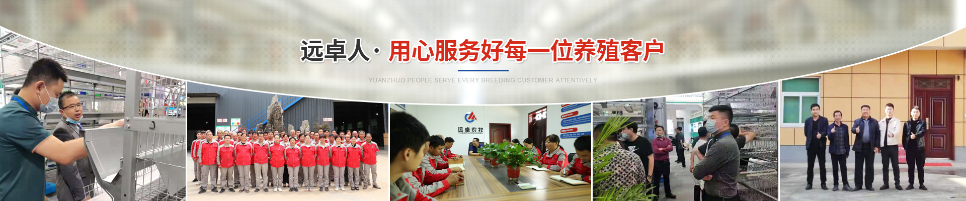 設(shè)備養(yǎng)雞時代，蛋雞場新出現(xiàn)的環(huán)境管理問題，該如何解決？