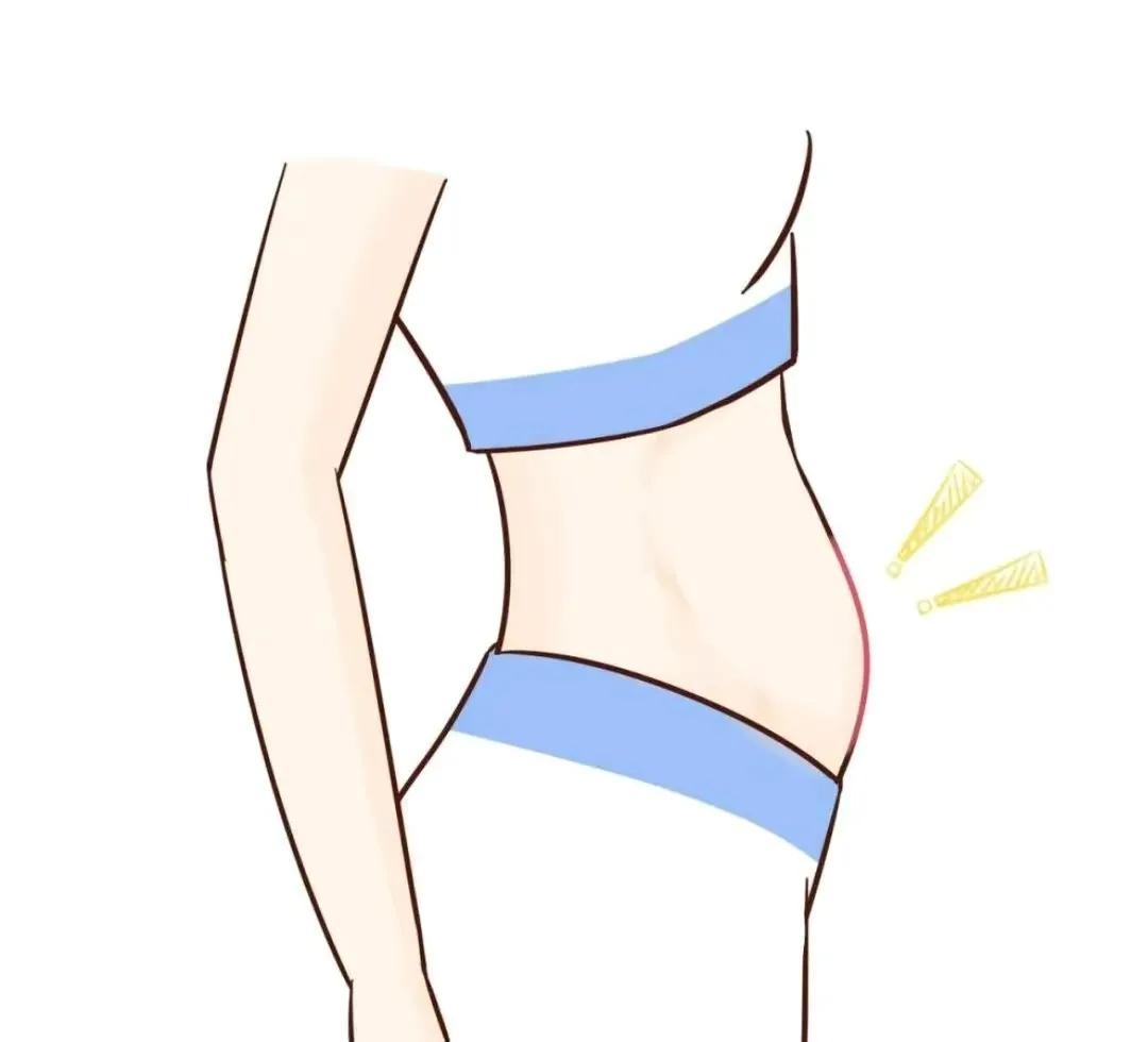 女生的小肚子为什么总是"鼓鼓的"?