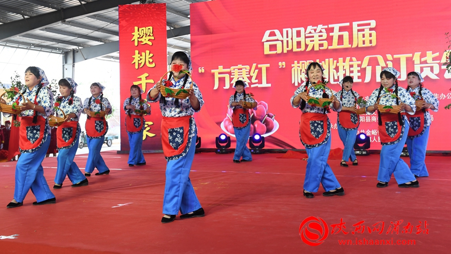 櫻桃千萬家 唯品方寨紅 合陽第五屆“方寨紅”櫻桃推介會舉辦（高清組圖）