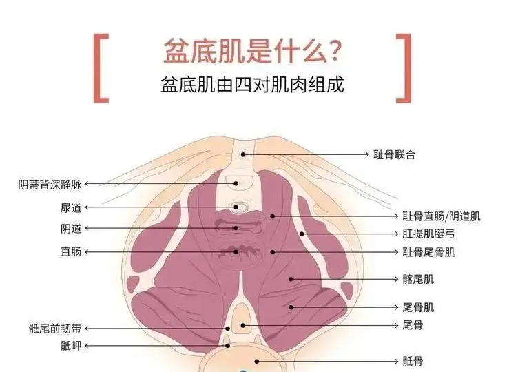 王鸥又有新瓜！与相声演员何九华同框，网友：这是男神收割机啊