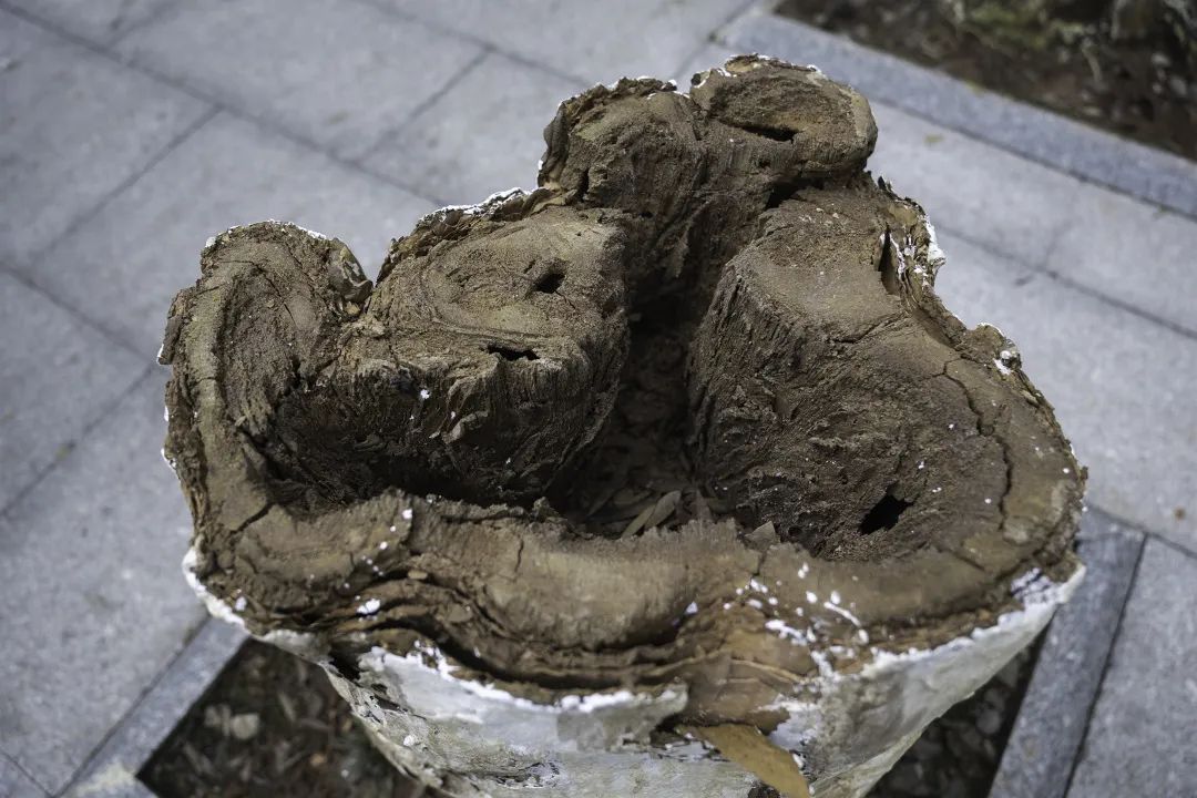 广州美术学院工艺美术学院2022研究生毕业大展