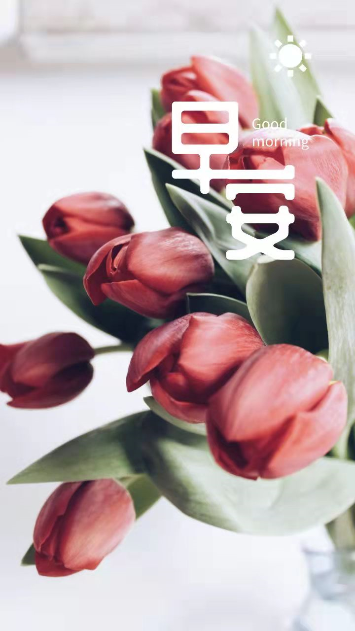 第6期 | 你好早安 正能量 开心一笑 | 新的一天，有个好心情，元气满满