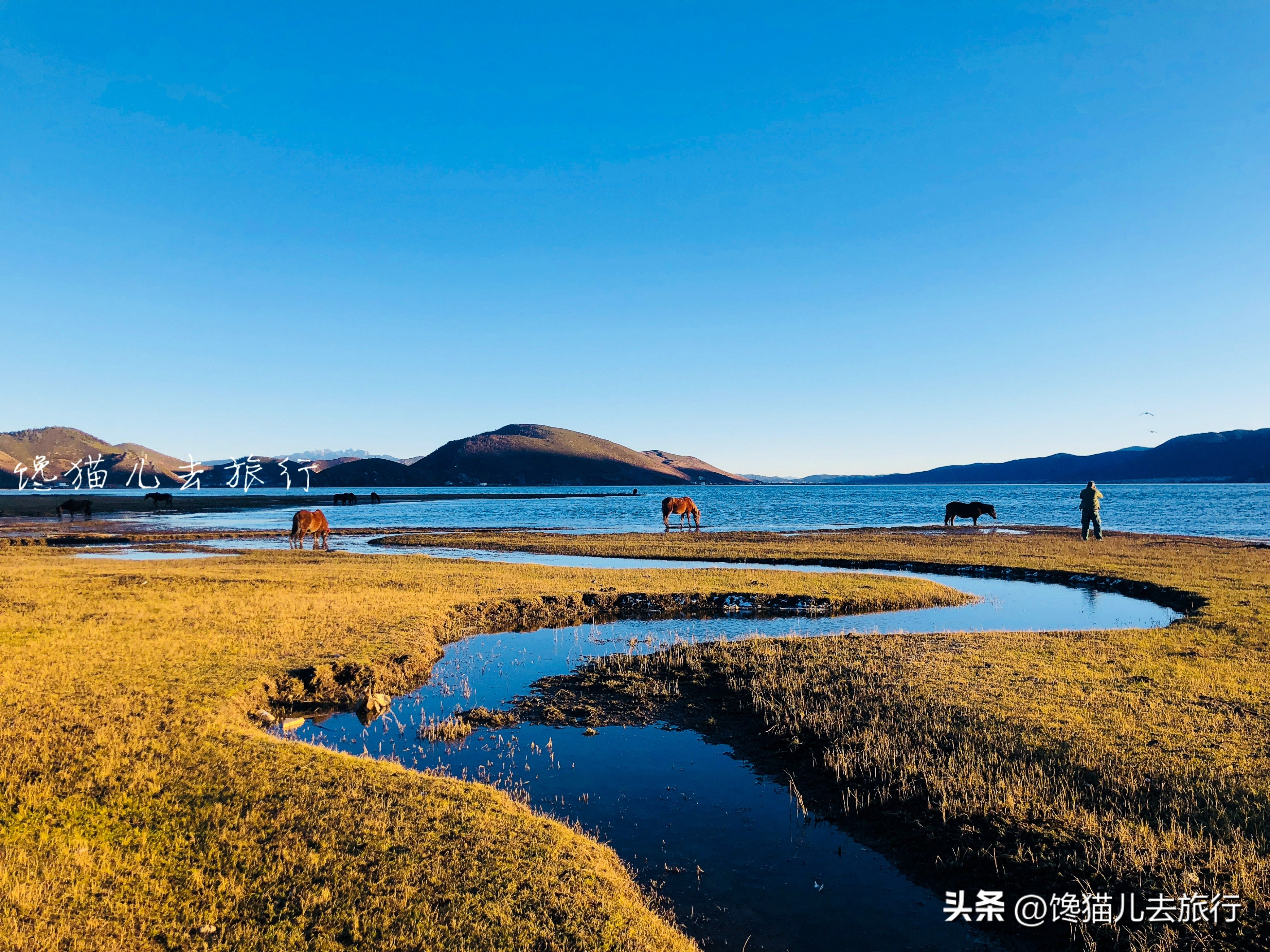 香格里拉是在云南吗（分享香格里拉的地理位置）