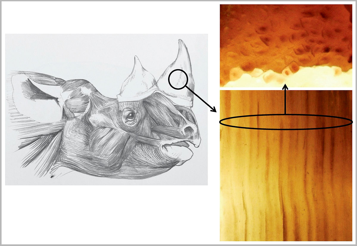 案例：顶层财务精英如何做报表利润（续）（建议收藏）？