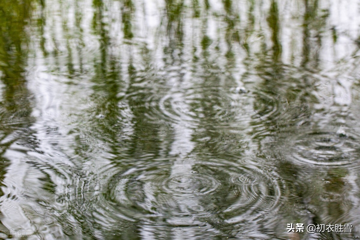 ​ 早春春雨绝句七首：小雨漫空浑不觉，一畦春雨野蔬香