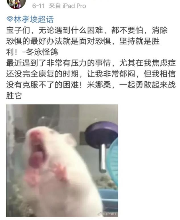 还记得奥力给吗？还记得朝阳冬泳怪鸽吗？他一点都不低俗