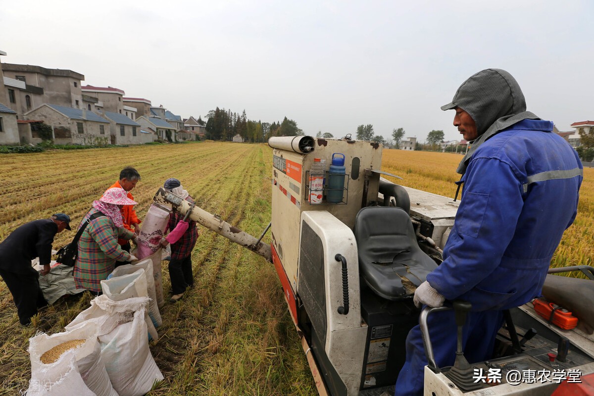 2022年種糧補(bǔ)貼每畝多少錢？種地還可以申請(qǐng)哪些補(bǔ)貼？