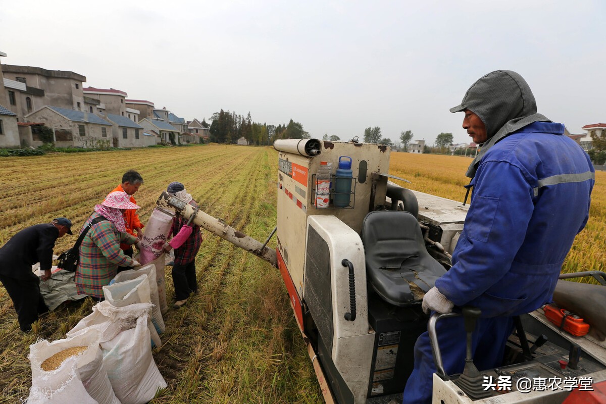 2022年种粮补贴每亩多少钱？种地还可以申请哪些补贴？