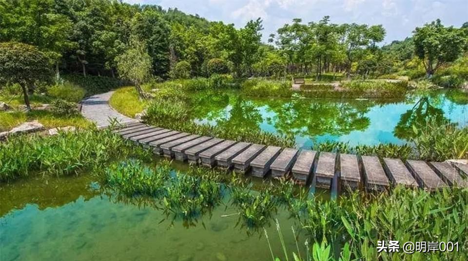 明岸：乡村旅游景观设计方案