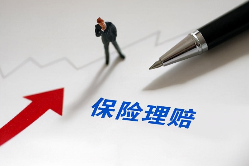 买了保险被拒赔，我要怎么去维权？