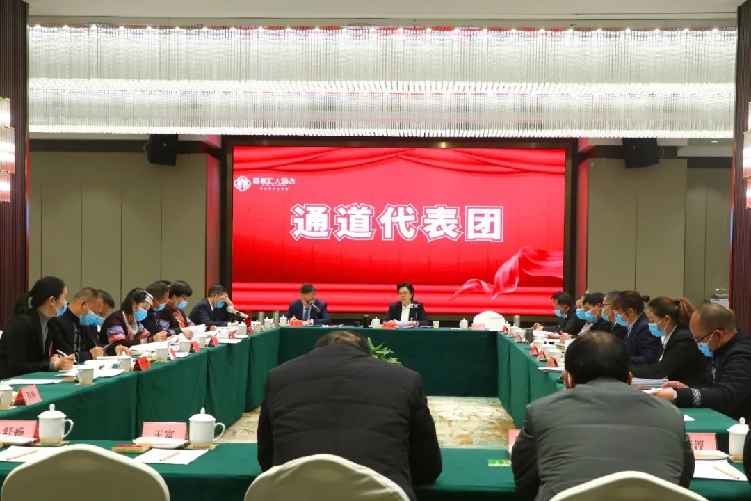 各代表团分组审议政府工作报告
