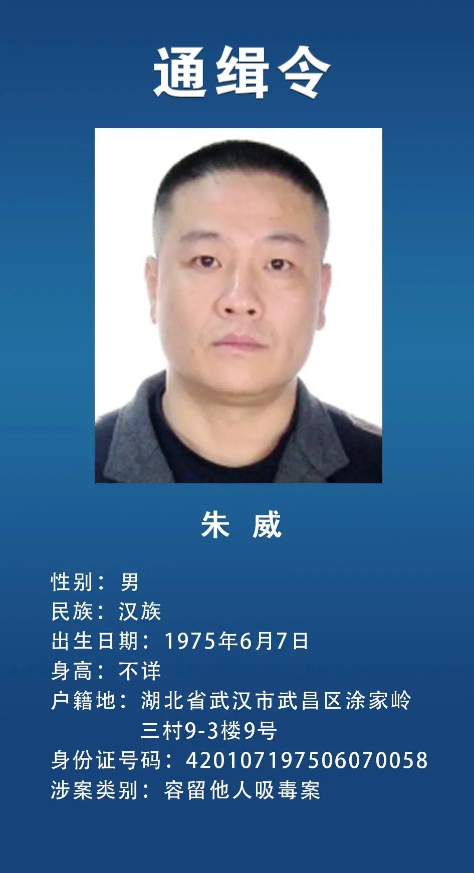 网上通缉犯,网上通缉犯怎么查