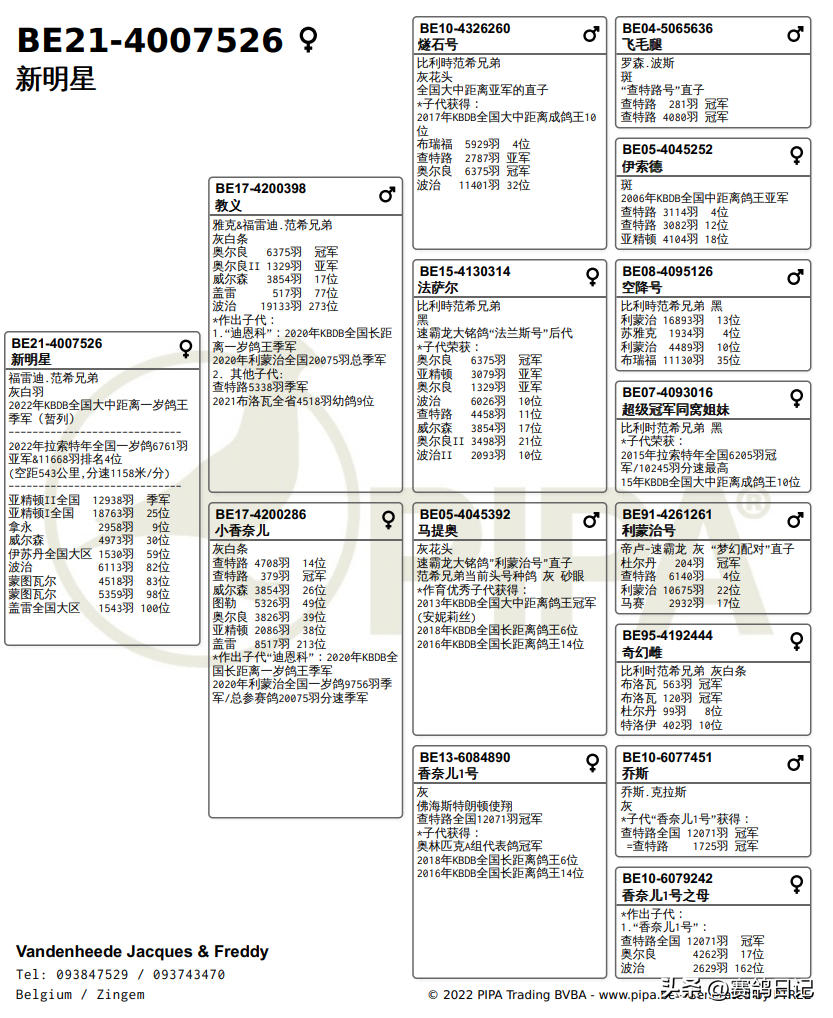 世界杯91大铭(“速霸龙”血统发威，助范希兄弟拿下KBDB中距离一岁鸽王季军)