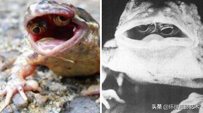 奇怪的可怕的图片（下）：20张令人不安的图片让你毛骨悚然