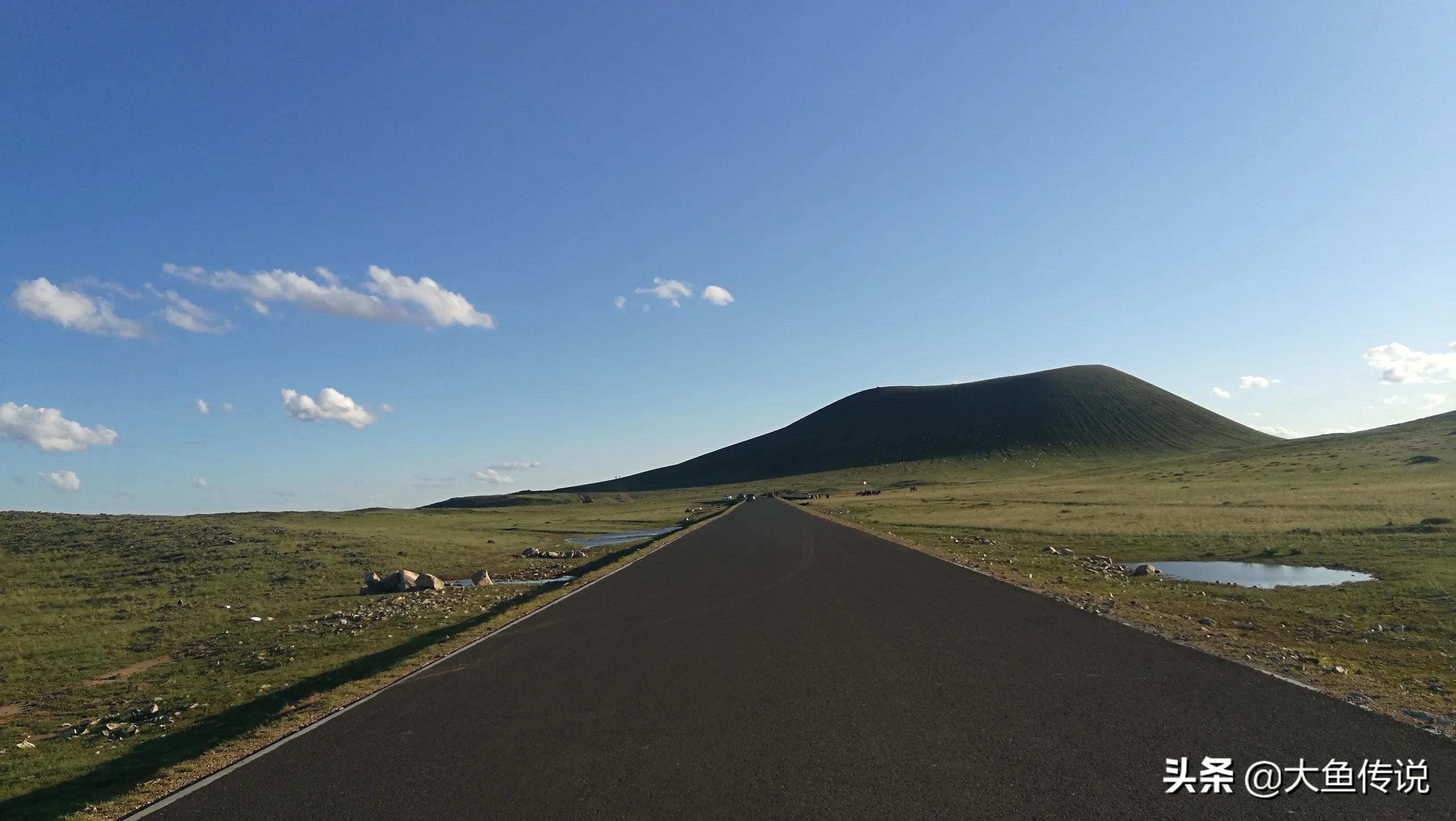 一万只野生黄羊在内蒙古东苏旗出现,是大自然给我们的春节礼物?