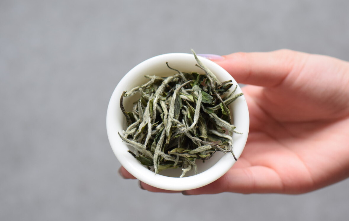 白茶属于红茶还是绿茶(白茶的价格是多少钱一斤)-币圈之家
