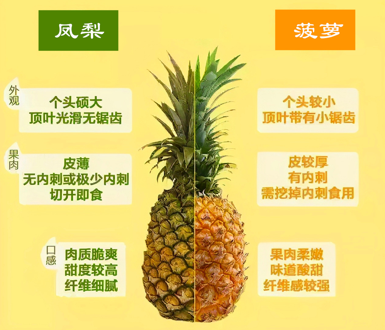 凤梨和菠萝一样吗，凤梨和菠萝一样吗？