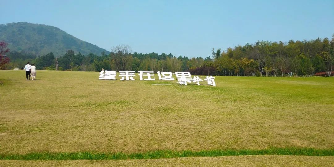 南京，除了钟山风景区，我还去了这些地方