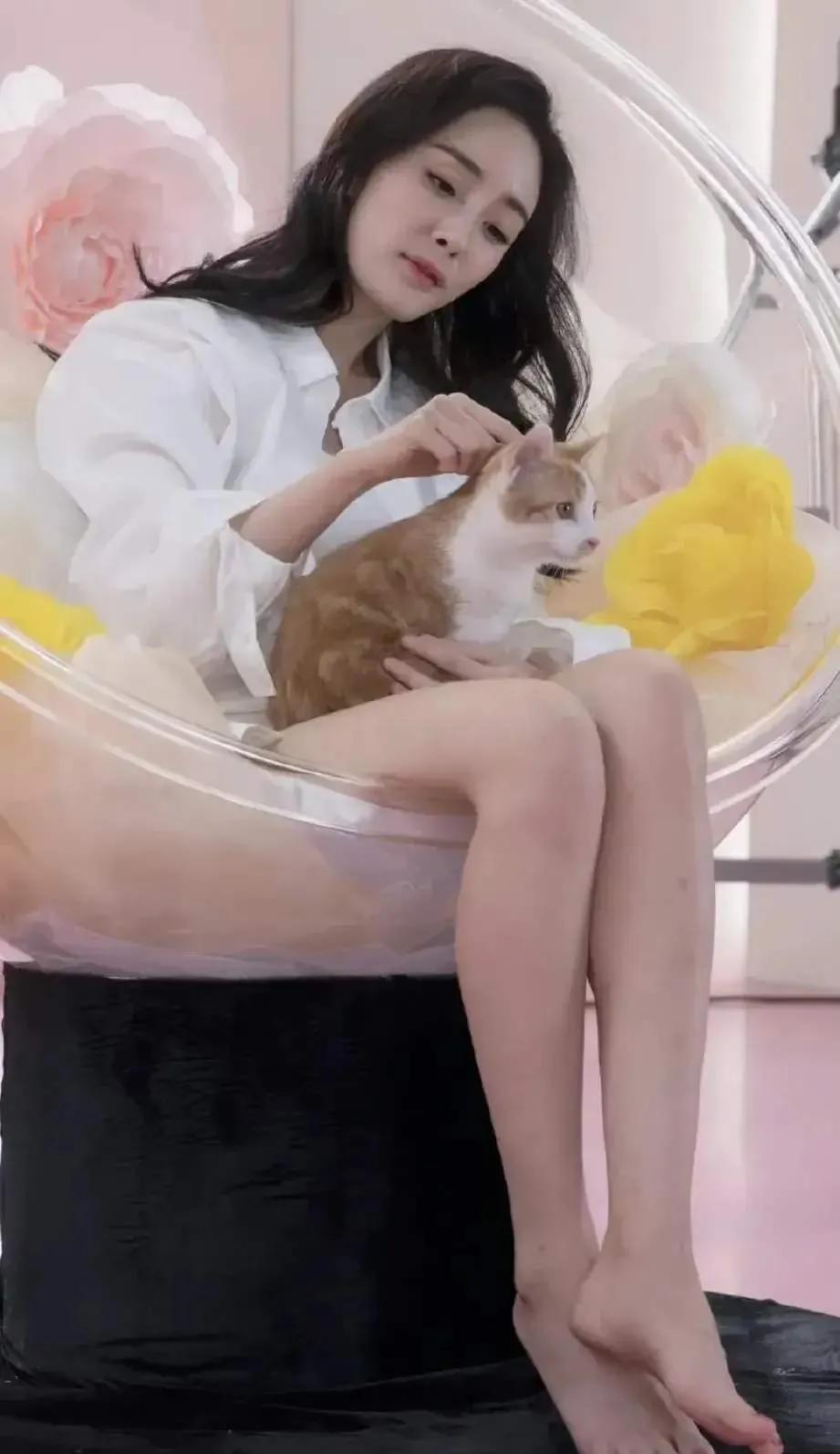 明星杨幂壁纸