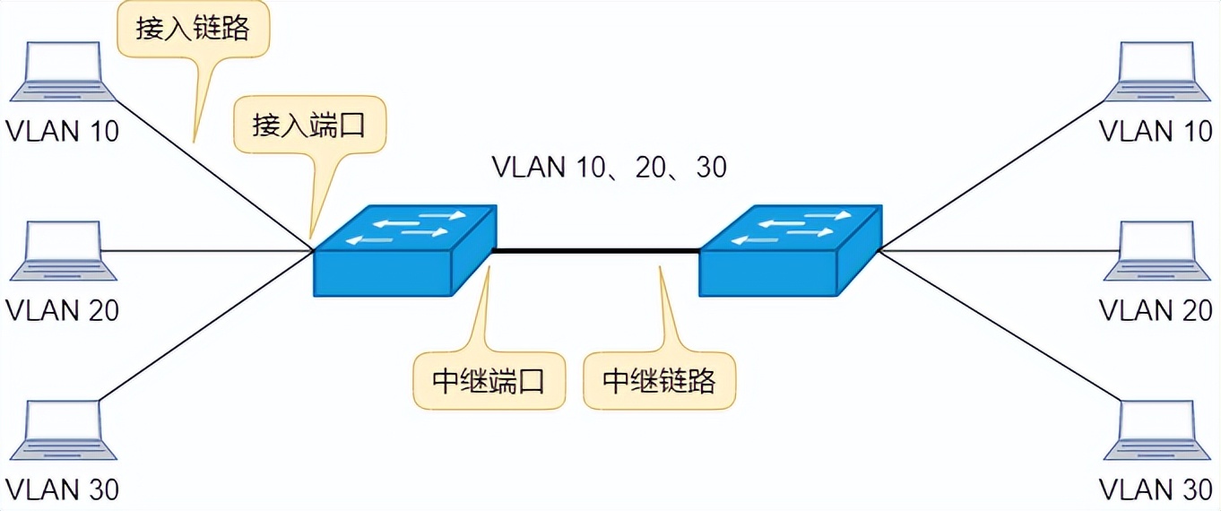 图解三层交换机：局域网都用它来组网