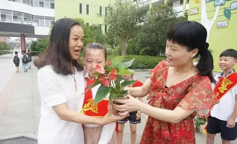 985高校老师工资单流出，基本工资引发关注，网友直呼羡慕