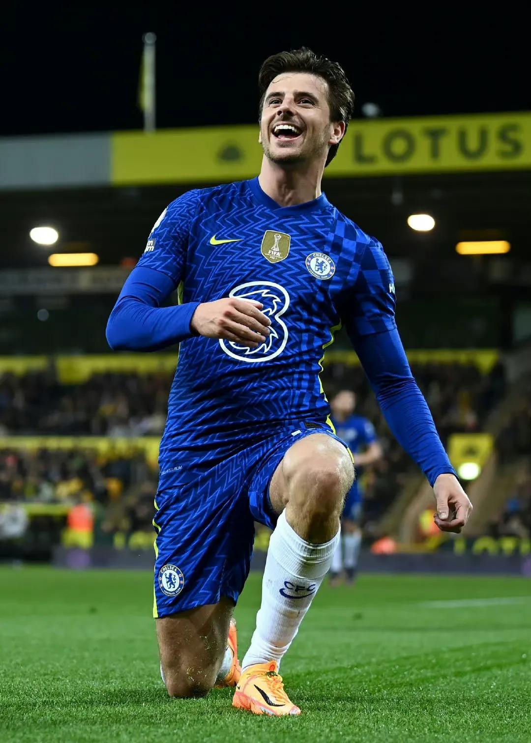 切尔西3-1诺维奇取四连胜(英超-芒特哈弗茨传射查洛巴破门 送点