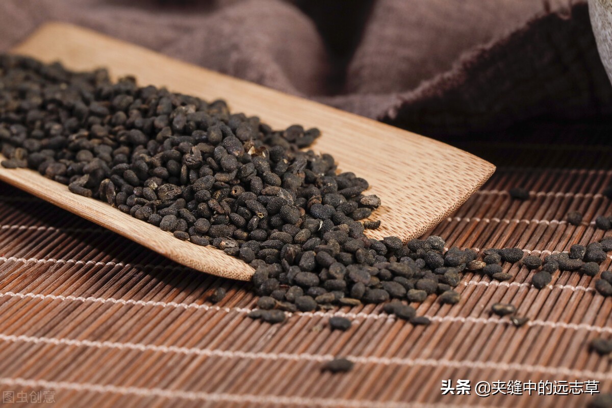 人还未老，腰已先老？四味中药，阴阳双补，送给腰酸背痛的你