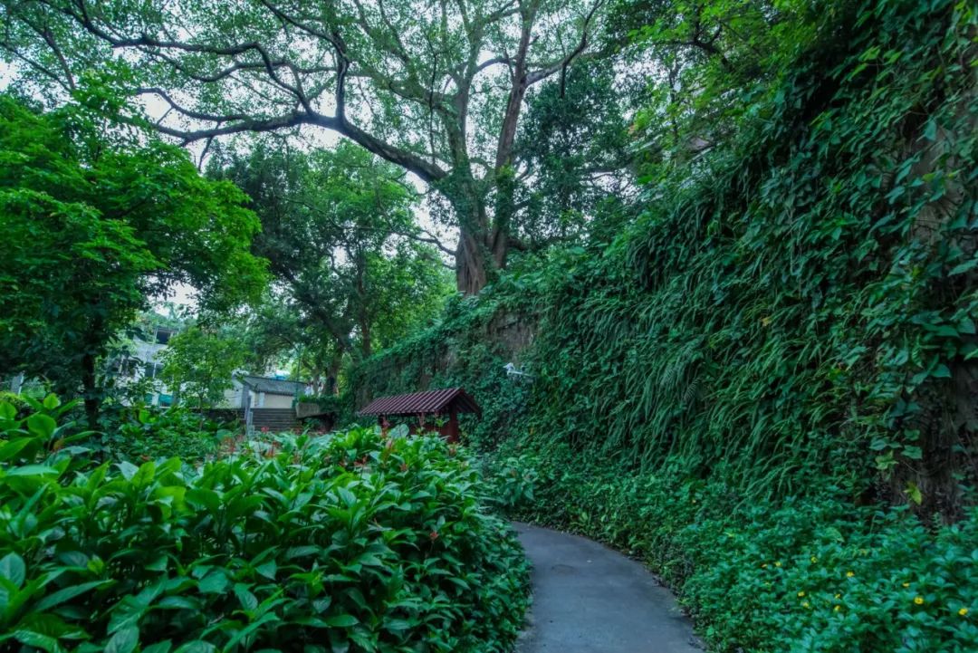 广东景区热度排行出炉，南海西樵山全省第五！