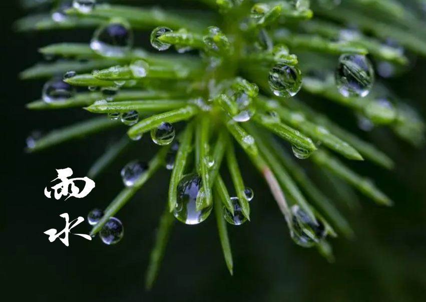 雨水 | 及时雨，窗外听，十首春雨的诗词，一朝春雨，润物无声