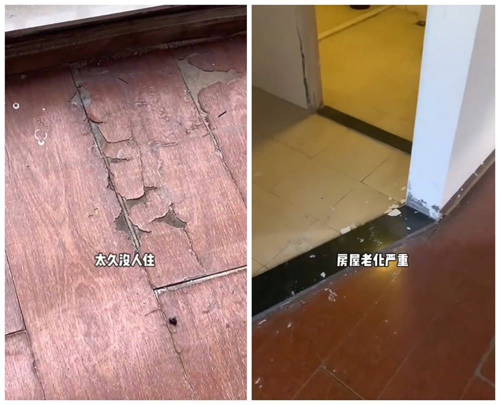 杭漂姐妹在空房子里住了两年，重建了旧房子。网友：大家笑了。