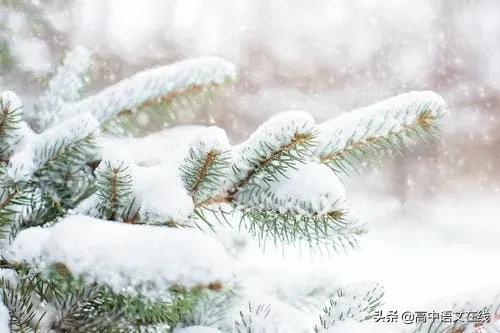 最美古诗词｜时光惊雪，雪落成诗，美到骨子里