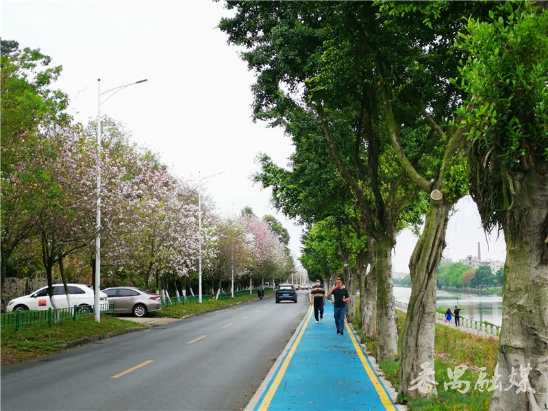 ��خ����ˮ���̵������Ͼ���������